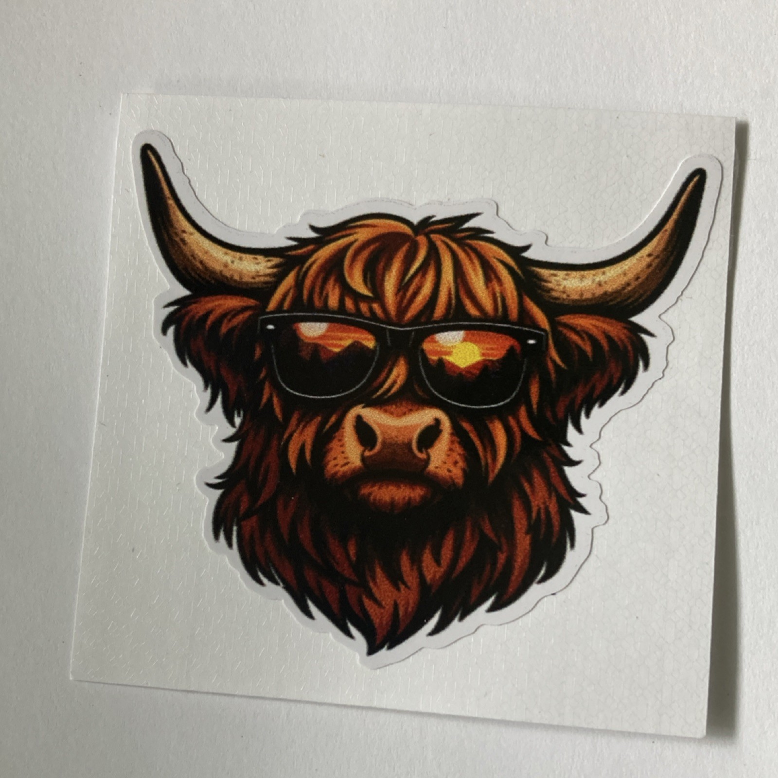 2 Highland Cow Multicolor Vinyl Sticker, for Water bottle, laptops, and more