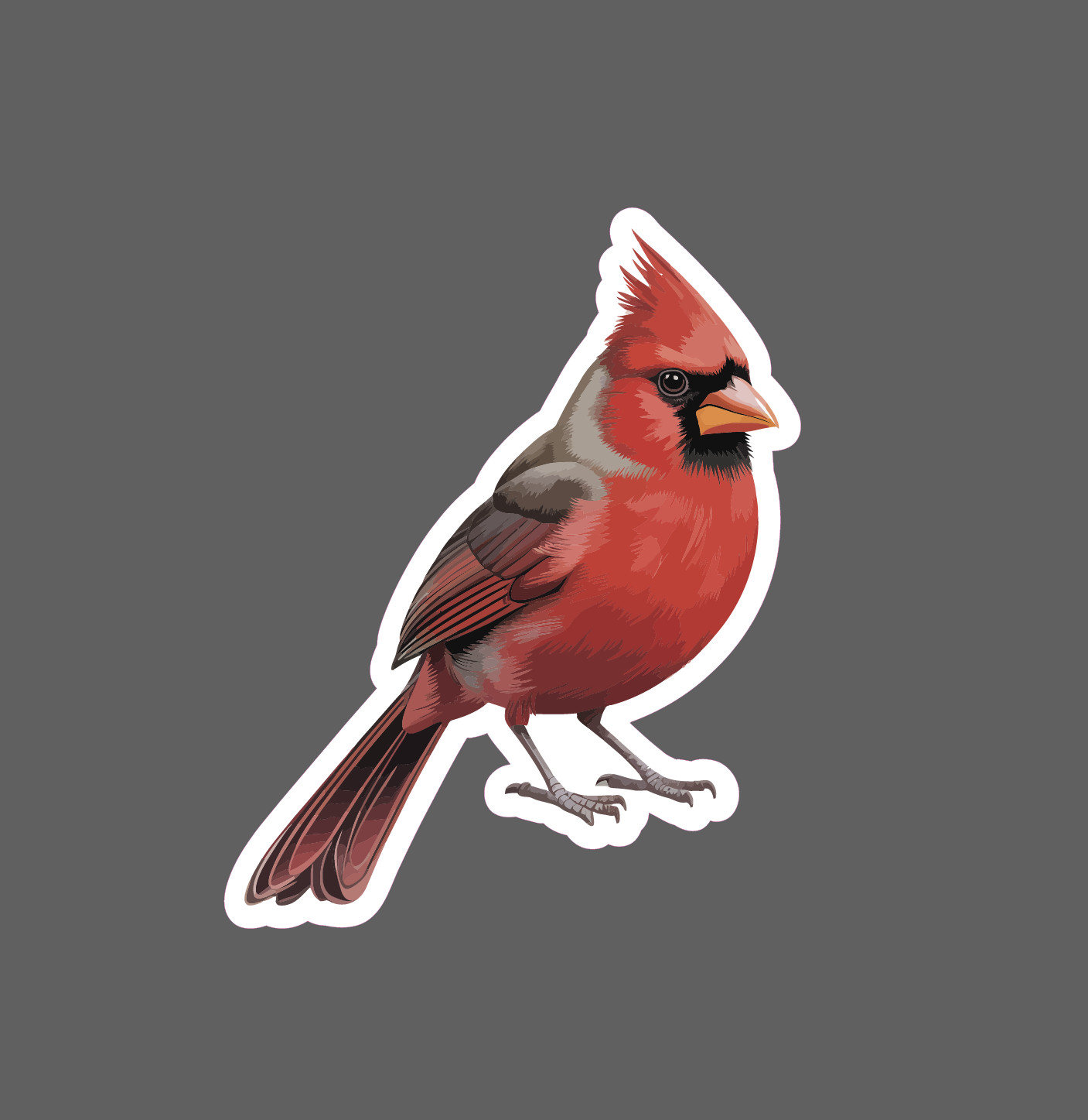 Cardinal Sticker Waterproof Decal Bird Animal Outdoor Wildlife Nature Gift NEW