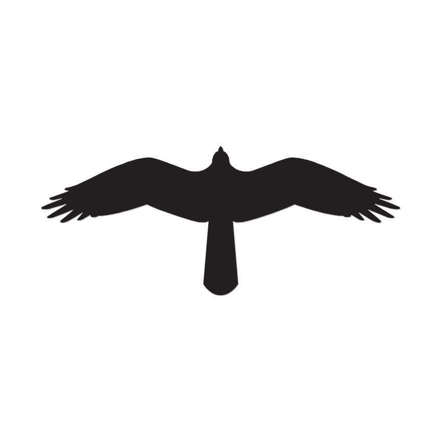Hawk Eagle Falcon – Vinyl Decal Sticker – Multiple Color & Sizes – ebn359