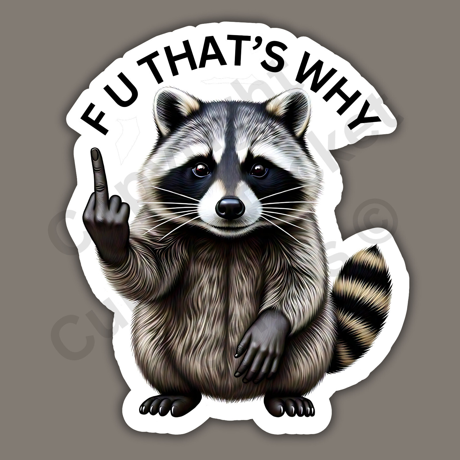 F U That’s Why Middle Finger Raccoon Funny Cute 3″ Vinyl Sticker