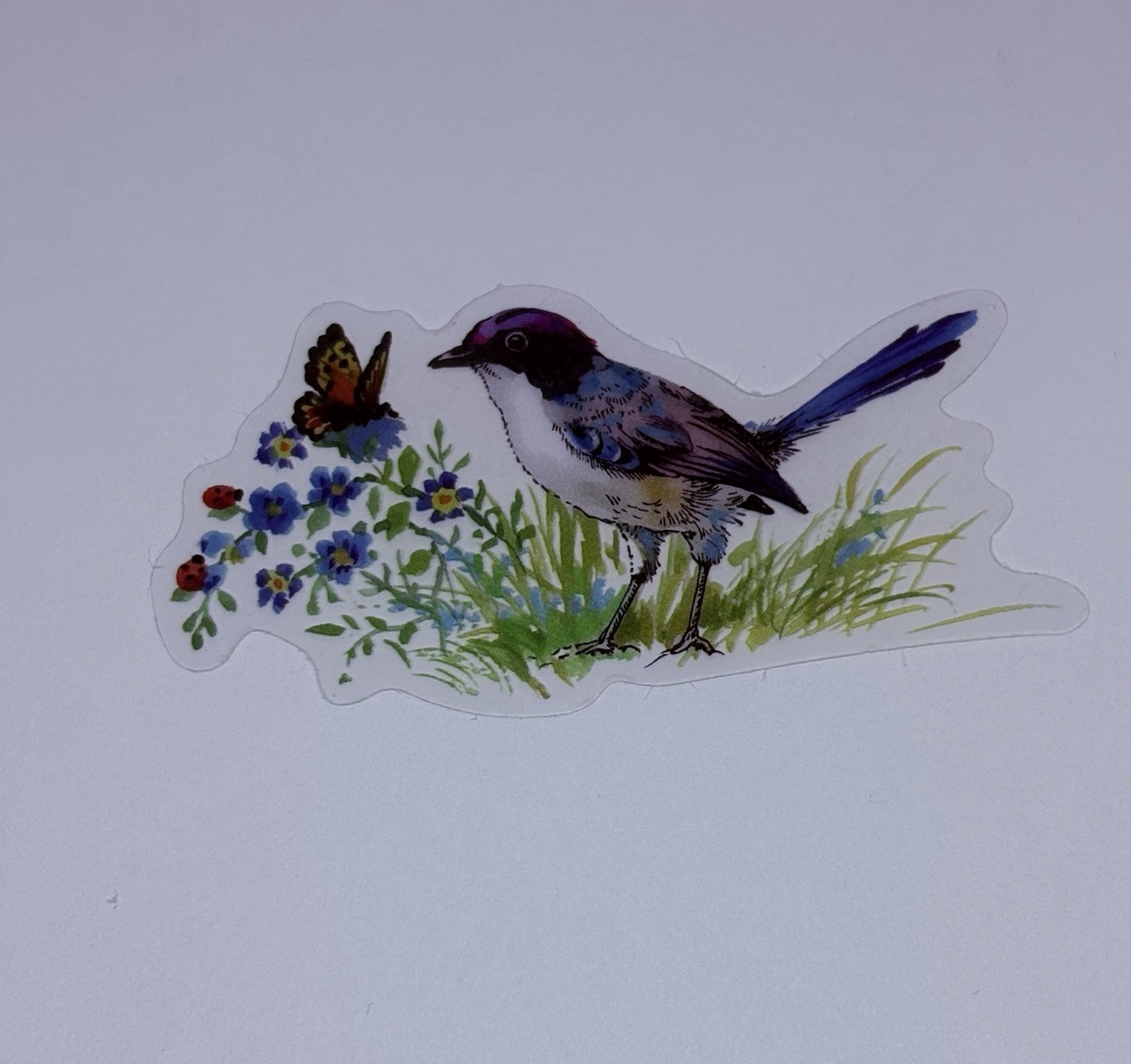 Bluebird & Butterfly Sticker Animal Art Transparent Journal Decal VinylTc6