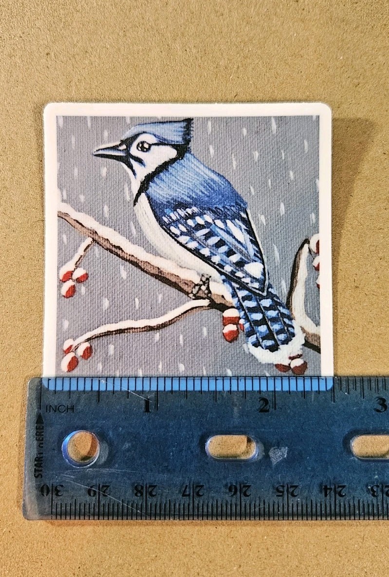 Blue Jay Sticker Matte Vinyl, Original Art, 2.5″ Square Sticker of Bird Art