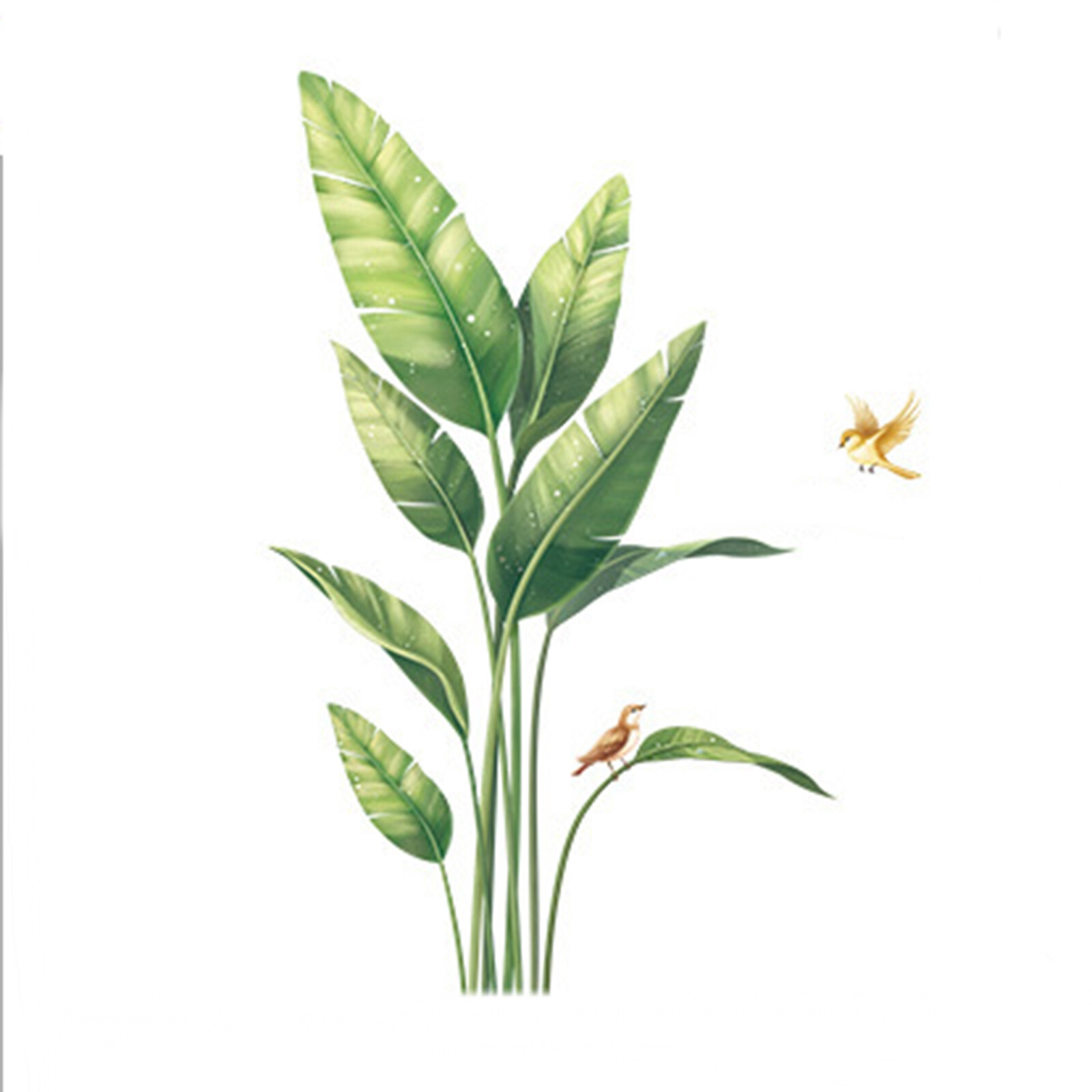 Green Wall Stickers Tropical Plants with Birds Removable PVC Living Room Home