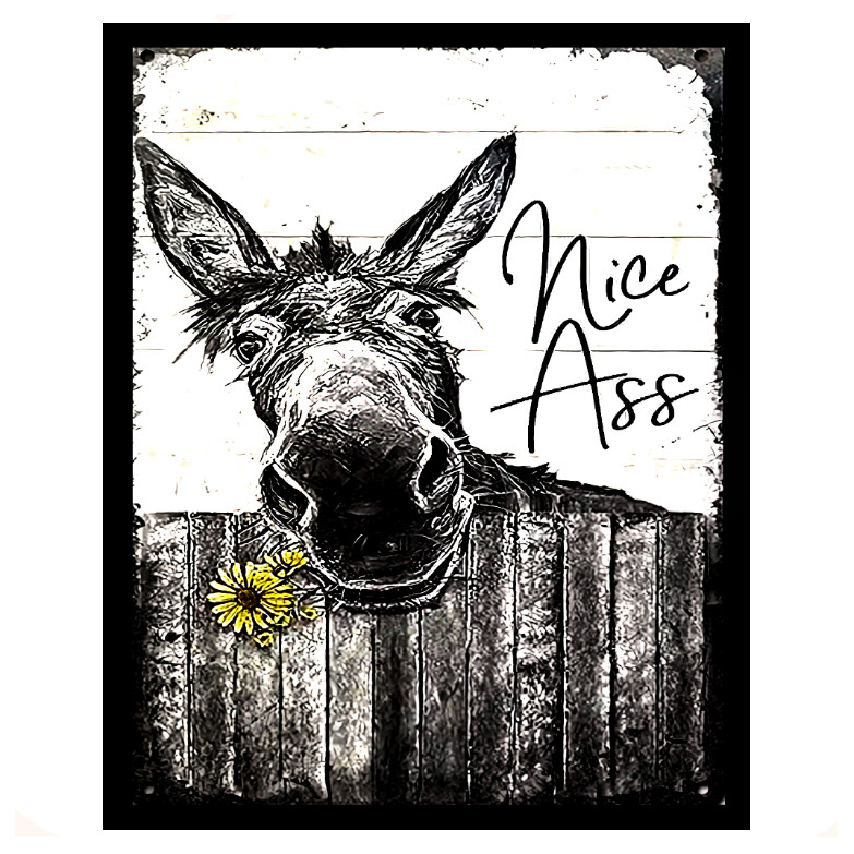 Nice Ass Funny Donkey Sticker Sign High Gloss Finish Availabe in 4 Sizes