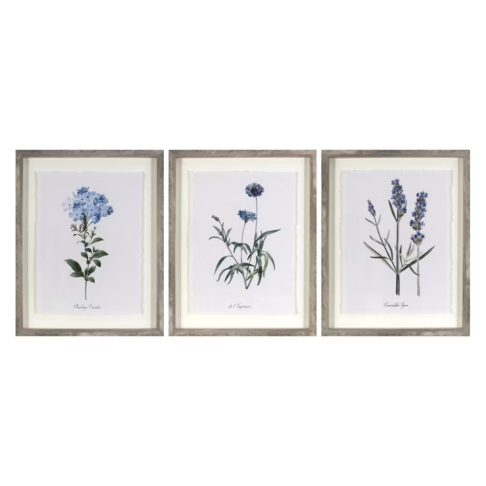 (Set of 3) 16″x20″ Framed Vintage Botanicals Decorative Wall Art Natural/Blue –