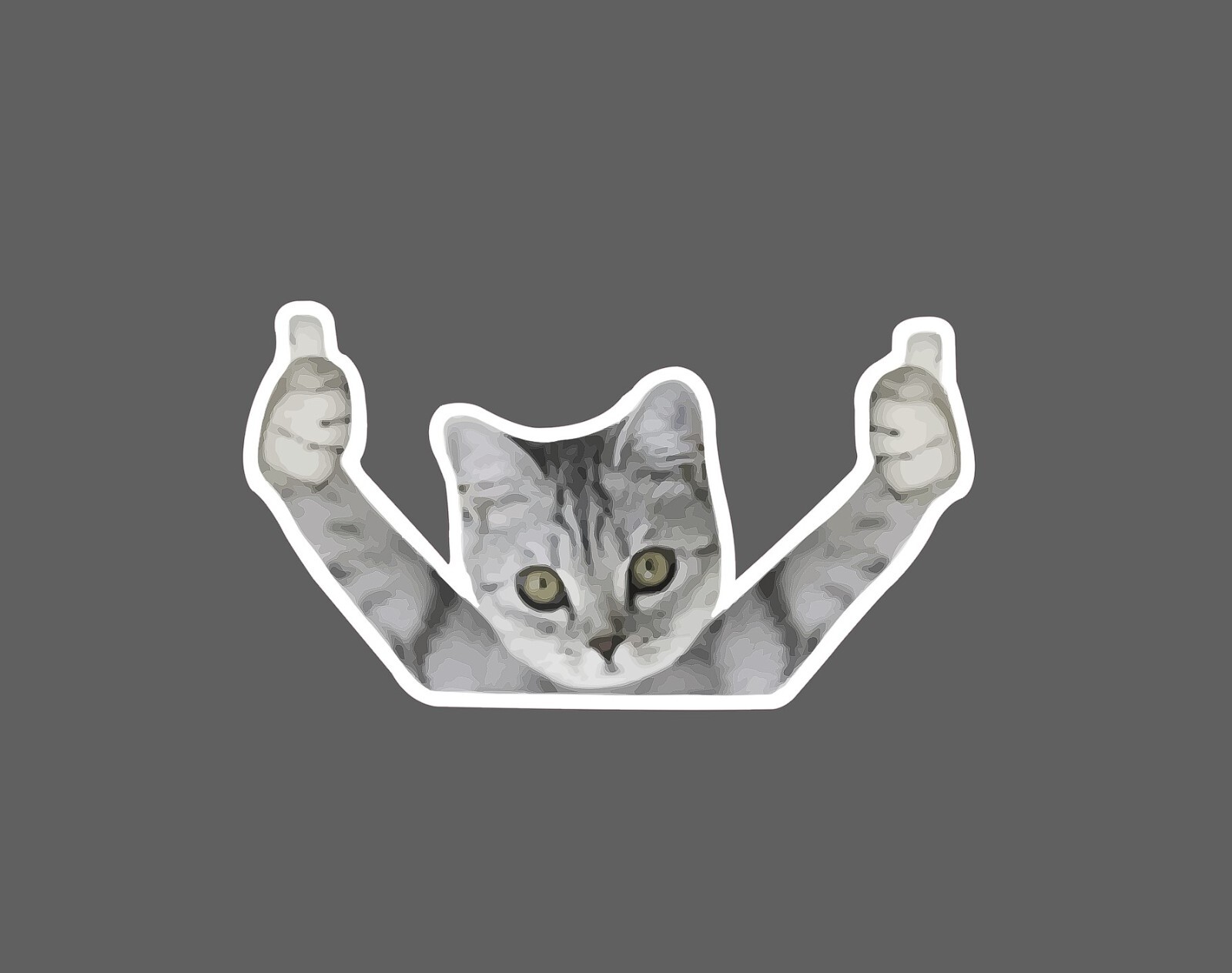 Cat Thumbs Up Sticker Approval Waterproof – Buy Any 4 For $1.75 EACH Storewide!