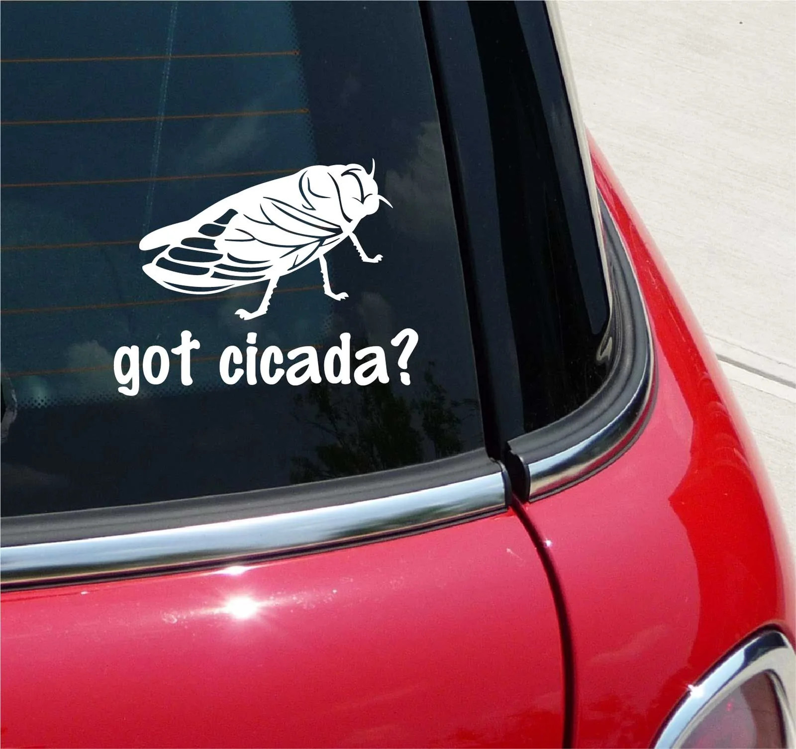 GOT CICADA? CICADA INSECT GRAPHIC DECAL STICKER ART CAR WALL