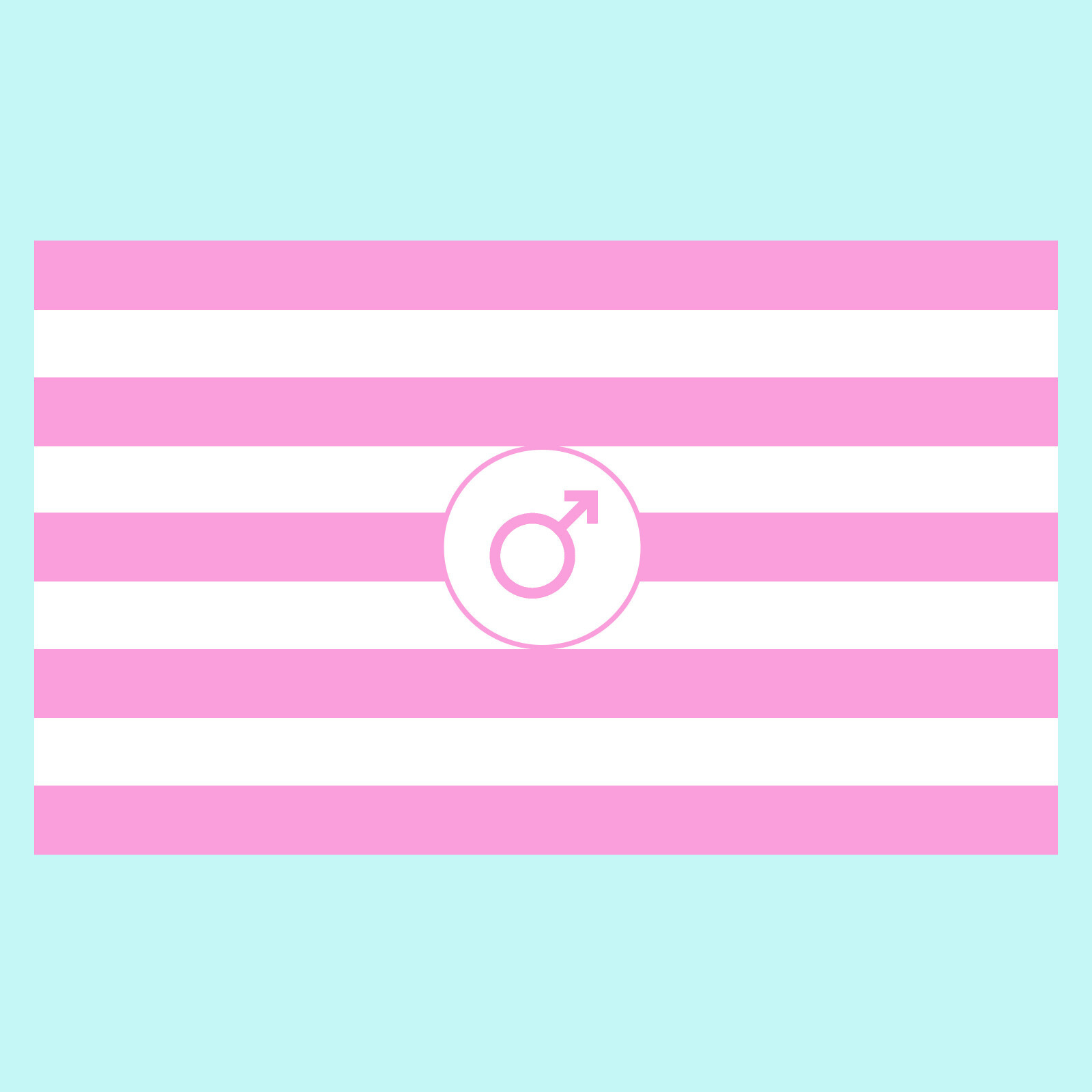 Sissy Pride Flag Sticker/Decal (Transgender, LGBTQ) 3.75″ x 2.25″