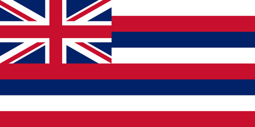 State of Hawaii Flag Sticker Decal USA Hawaii State