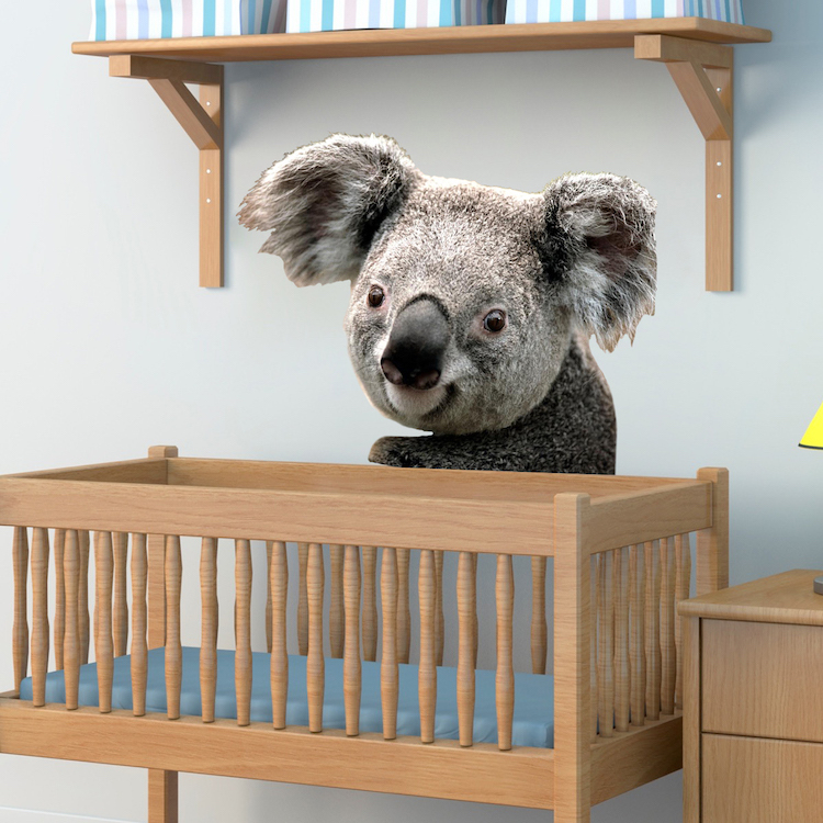 Cute Koala Wall Decal Mural Australia Wild Animals Removable Bear Vinyl, a19