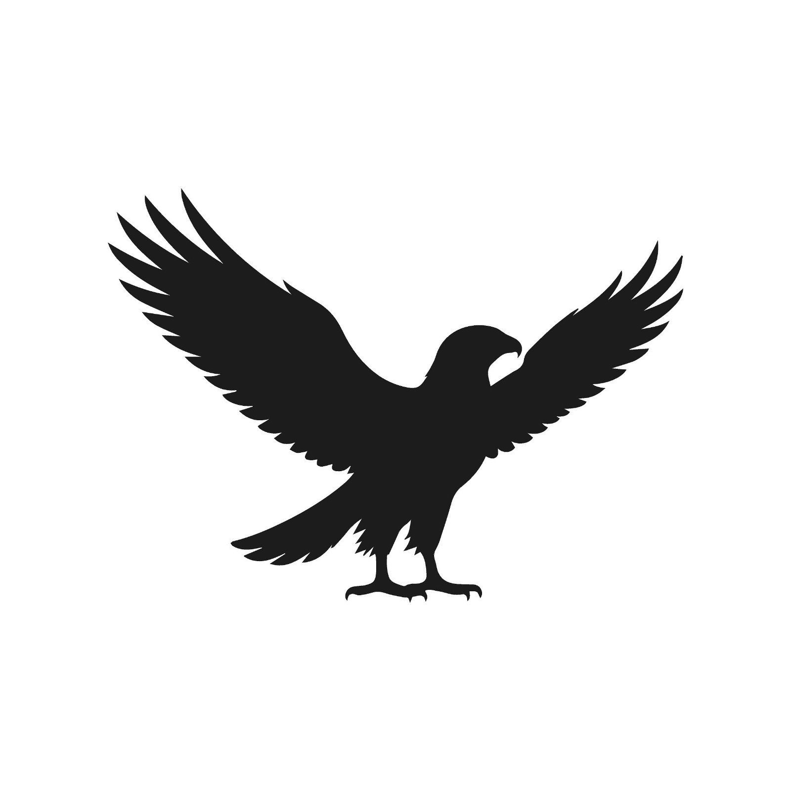 Hawk Open Wings Wildlife Bird Vinyl Decal Window Wilf birds life Laptop Sticker