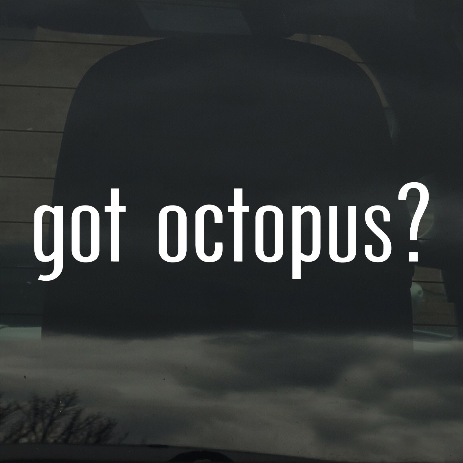 Got Octopus? Custom Vinyl Sticker Decal Sea Life Seafood Tentacles Ocean