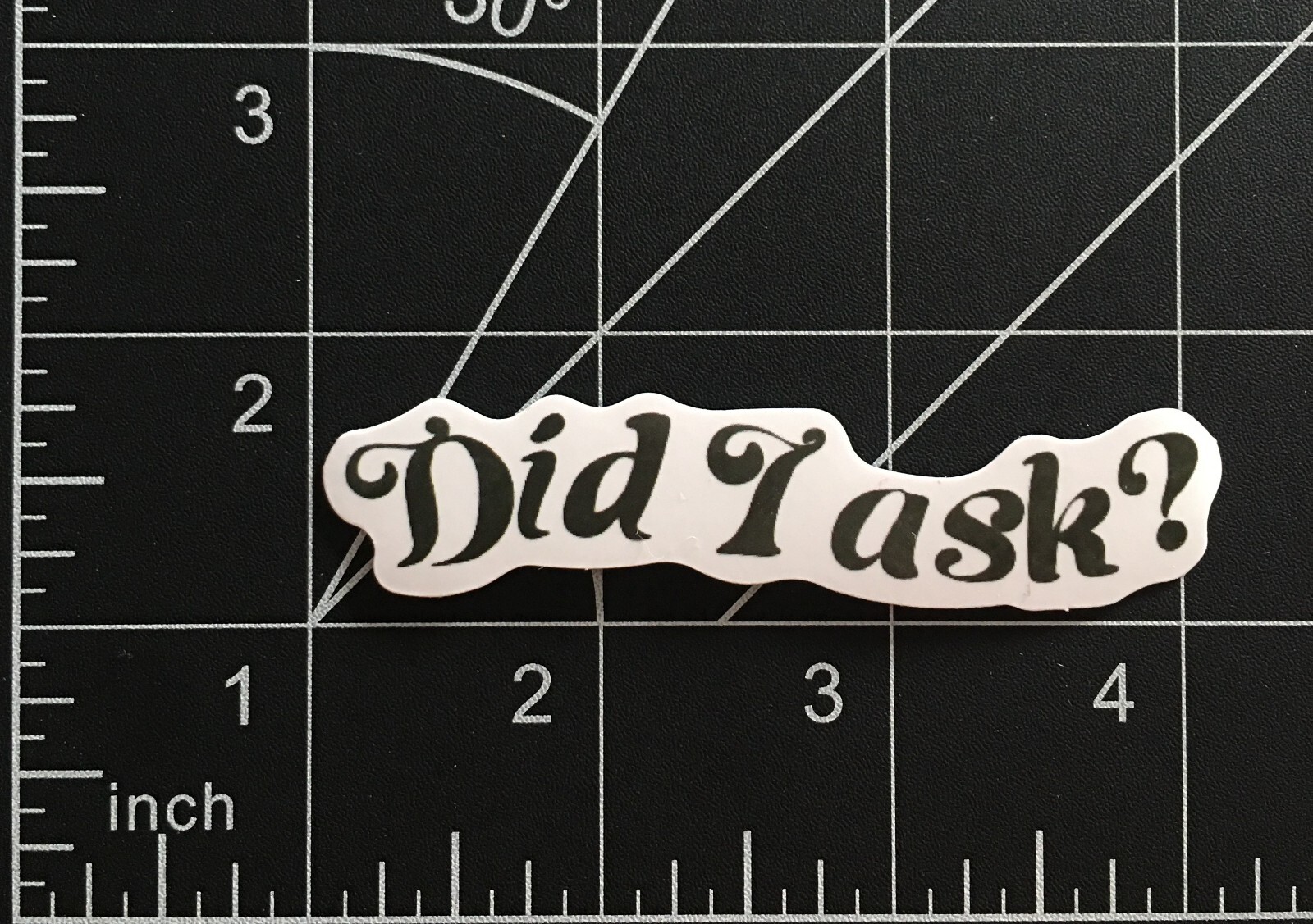 Did I Ask Vinyl Sticker Funny Saying Quote Black White Durable Waterproof