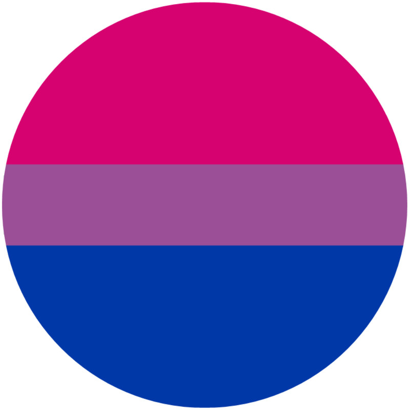Bisexual Pride Flag – 10 Pack Circle Stickers 3″ x 3″ – LGBTQ+ Support