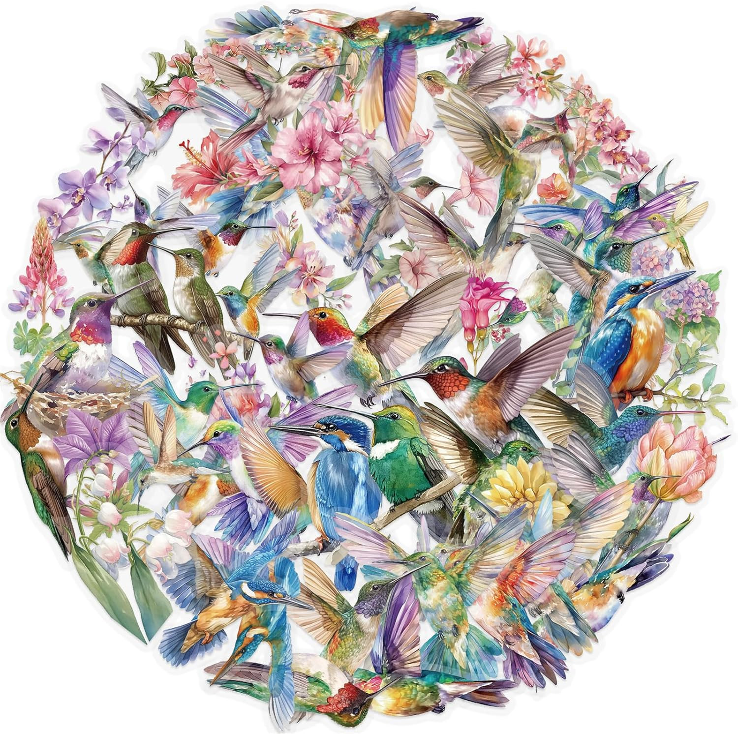 50PCS Hummingbird Stickers PET Transparent Stickers Nature Decals Waterproof Dec