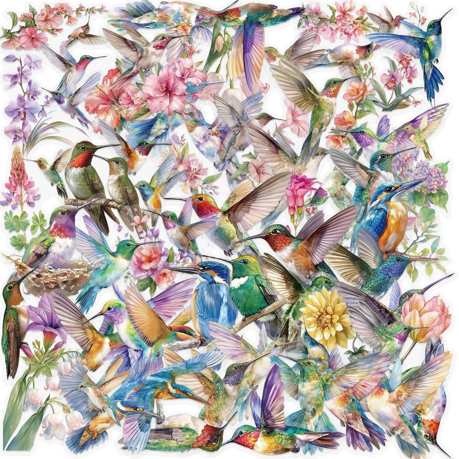 50PCS Transparent Hummingbird Stickers Nature Decals Waterproof Decorative Decal