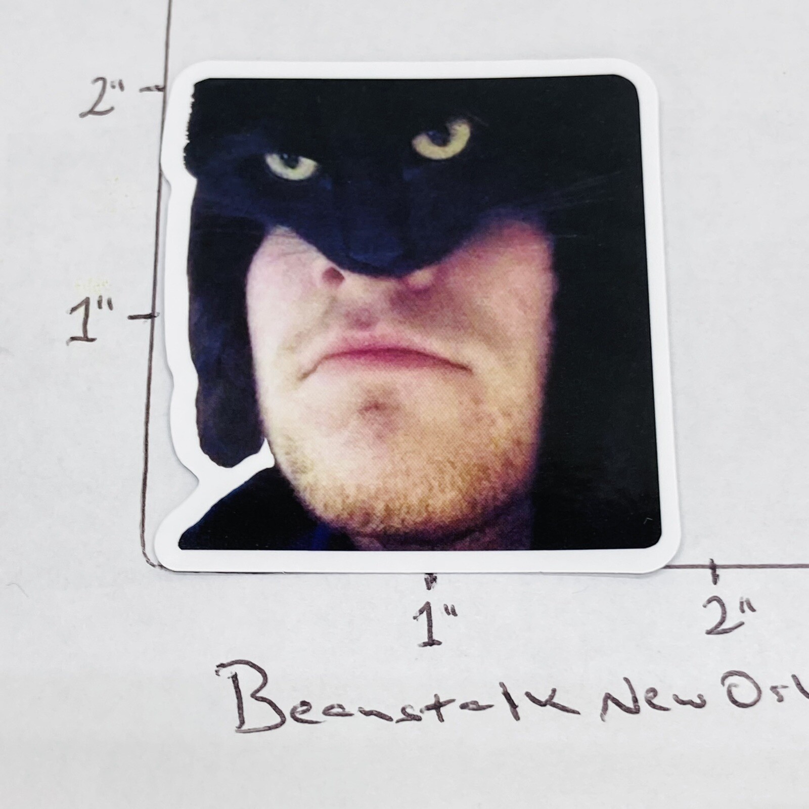NEW‼ Catman Batman Cat Mask Funny Humor Meme Sticker Decal Laptop • w/ Tracking‼