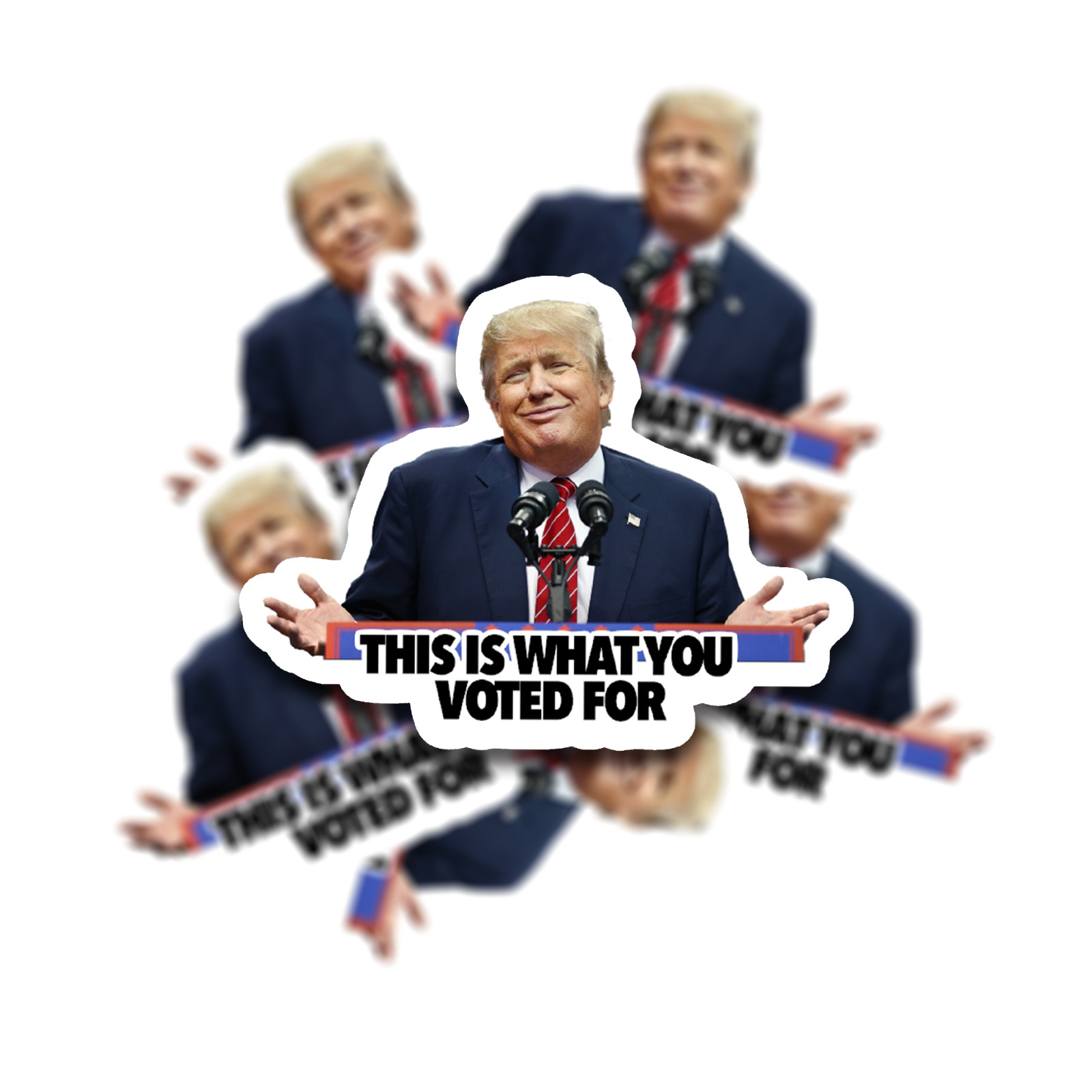 Trump Sticker -“This is What You Voted For” Anti-Trump Political Meme – 12 pack