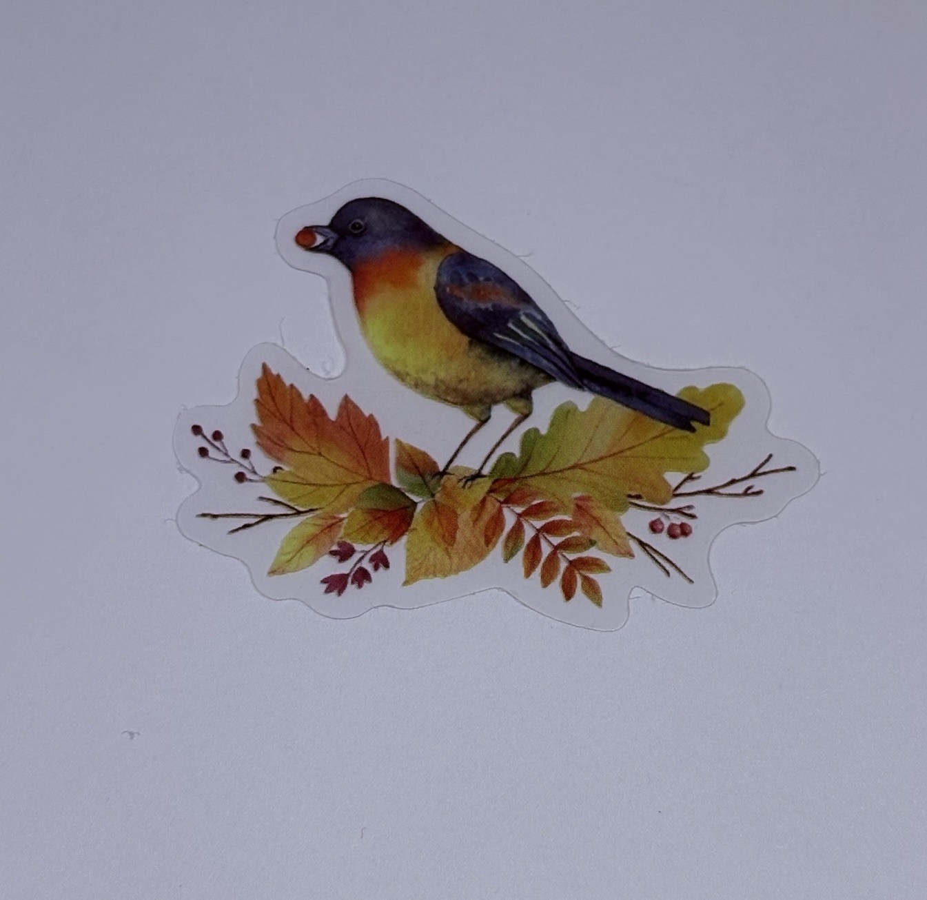 American Robin On Branch Sticker Animal Art Transparent Journal Decal VinylTc6