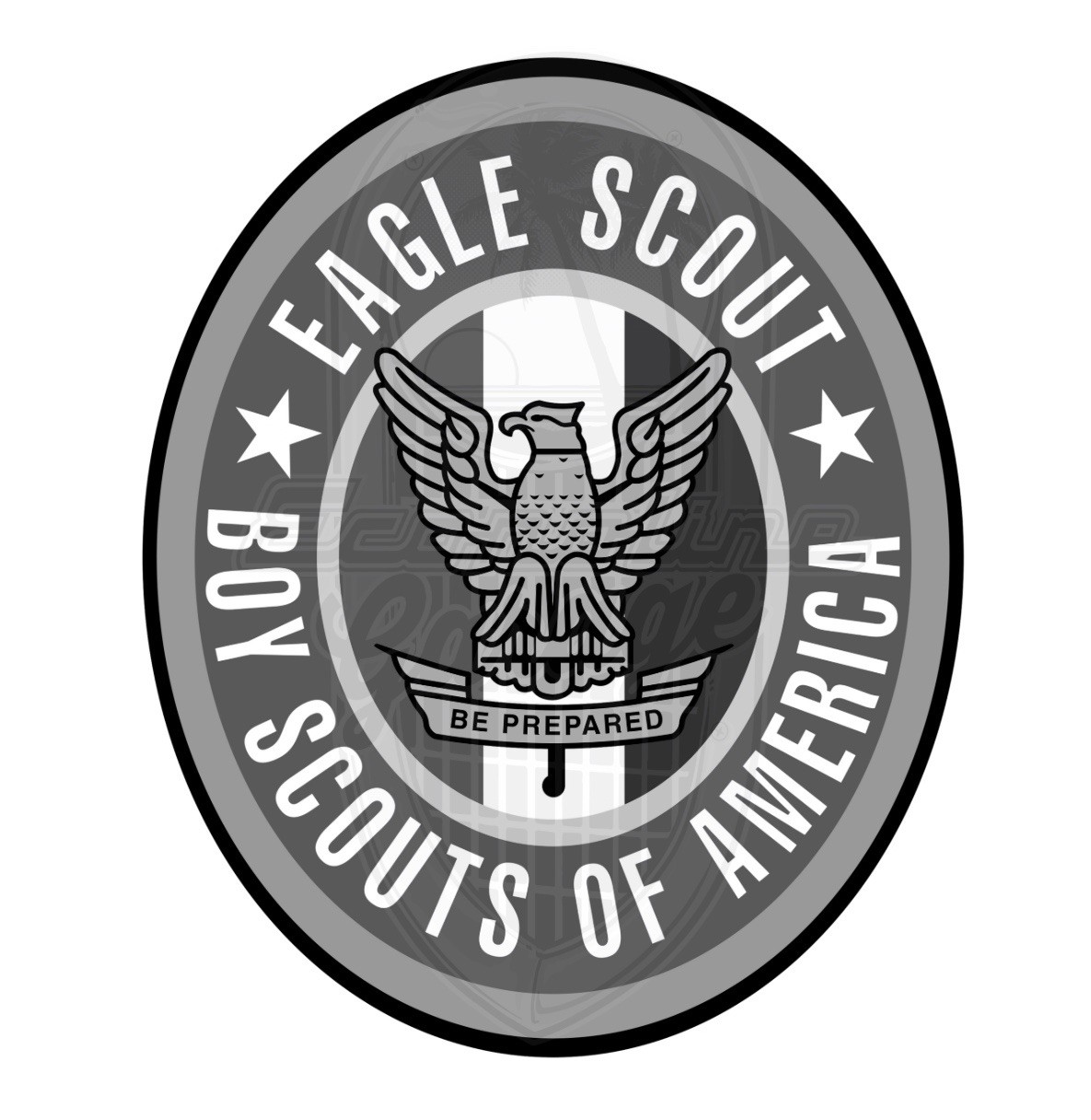 3” Boy Scouts Eagle Scout Subdued Sticker Decal Scouting BSA USA Cub Rank Badge