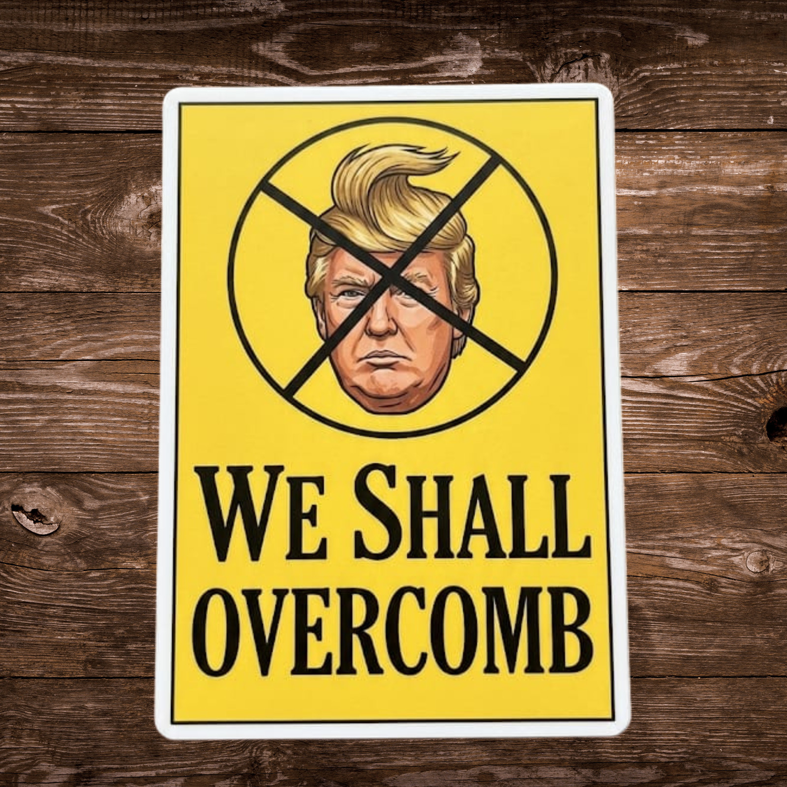 Anti Trump Sticker NO KINGS PROTEST “We Shall Overcomb” Waterproof 1/10/50/100