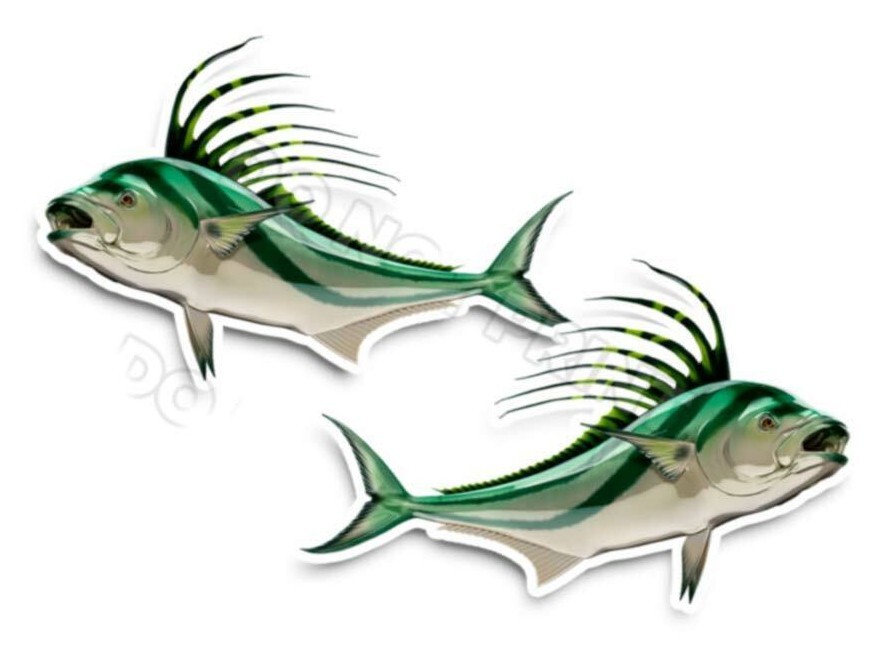 Roosterfis Decals Fish Stickers Vinyl Tackle Box Giant Sea Perch – Set of 2 #204