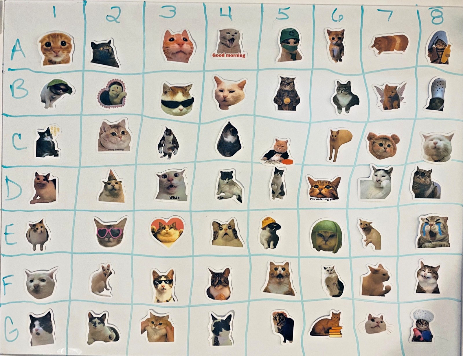 100 Funny Cat Meme Stickers Vinyl Waterproof Kawaii Laptop Phone Car Helmet Cup