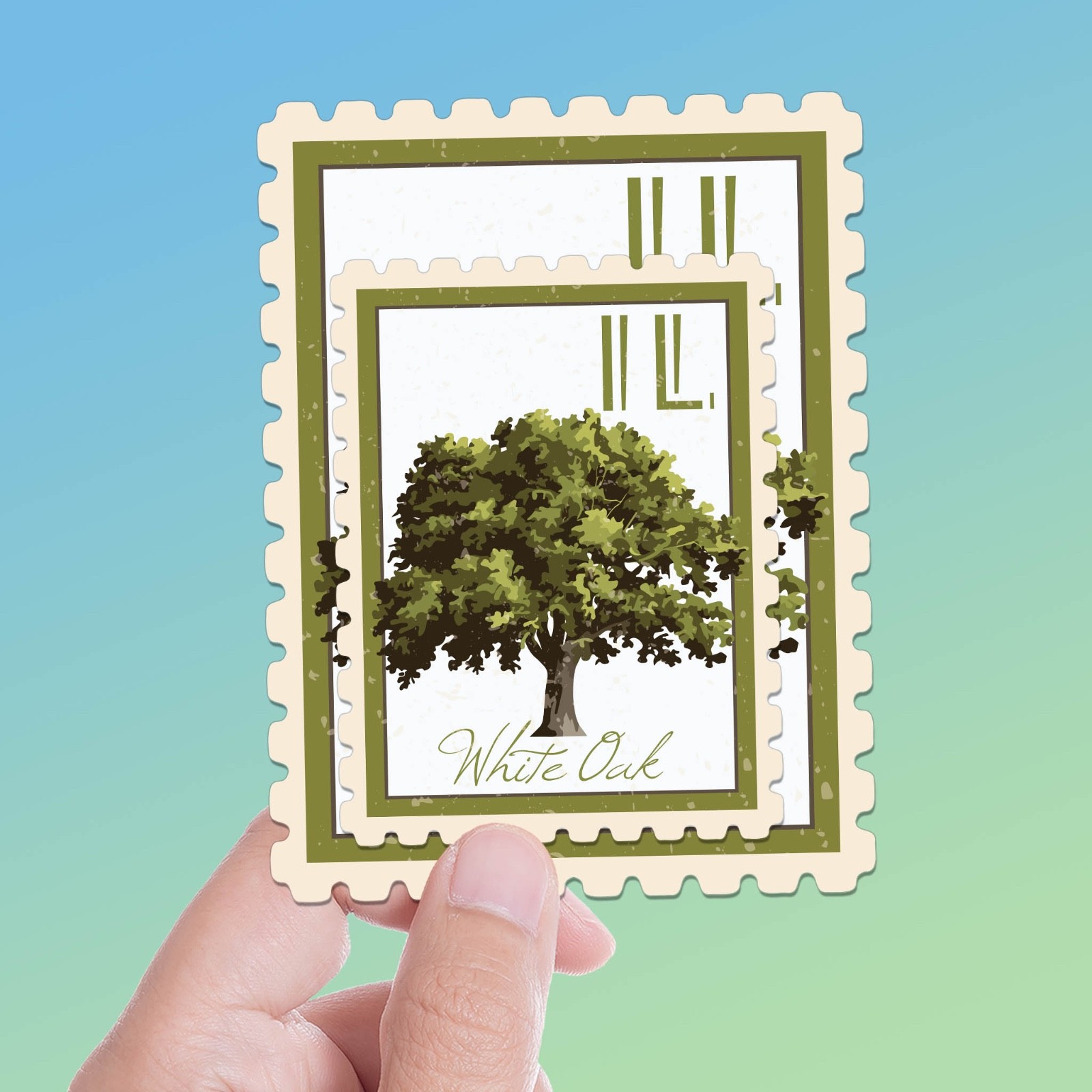Illinois State Tree White Oak Sticker – IL Vintage Stamp Decal
