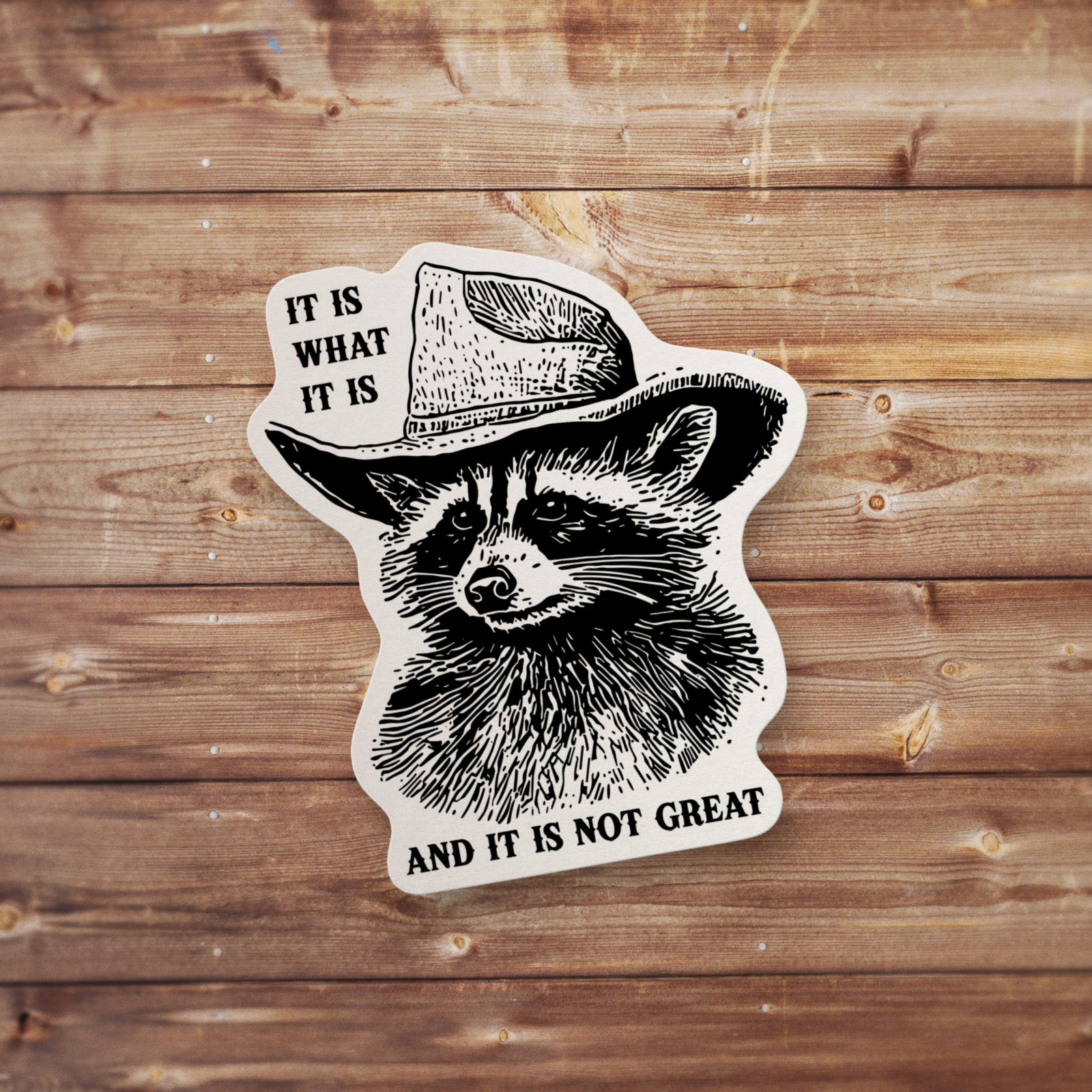 Raccoon Meme Vinyl Sticker Funny Meme Sticker Decal Water Bottle Sticker Decal