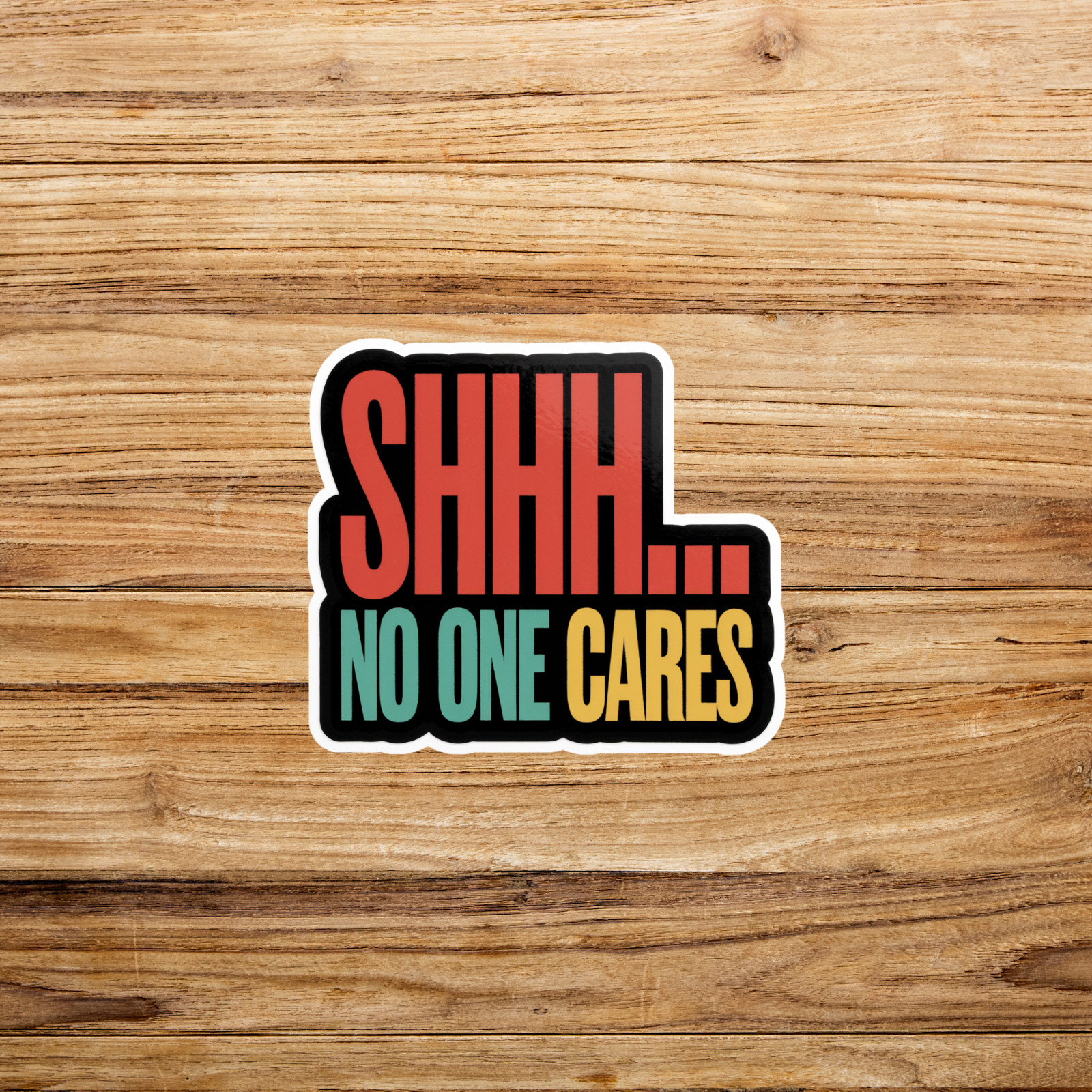 Shhh…No One Cares Funny Sarcastic Vinyl Sticker Decal for Laptops, Cars, Water