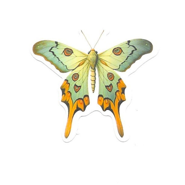 Green Moth Vinyl Sticker Vintage Butterfly Insect Journal Laptop Scrapbook Gift