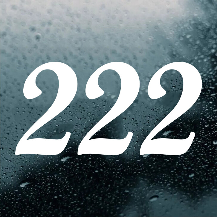 222 Angel Number Vinyl Decal – Have Faith Numerology – Die Cut Sticker