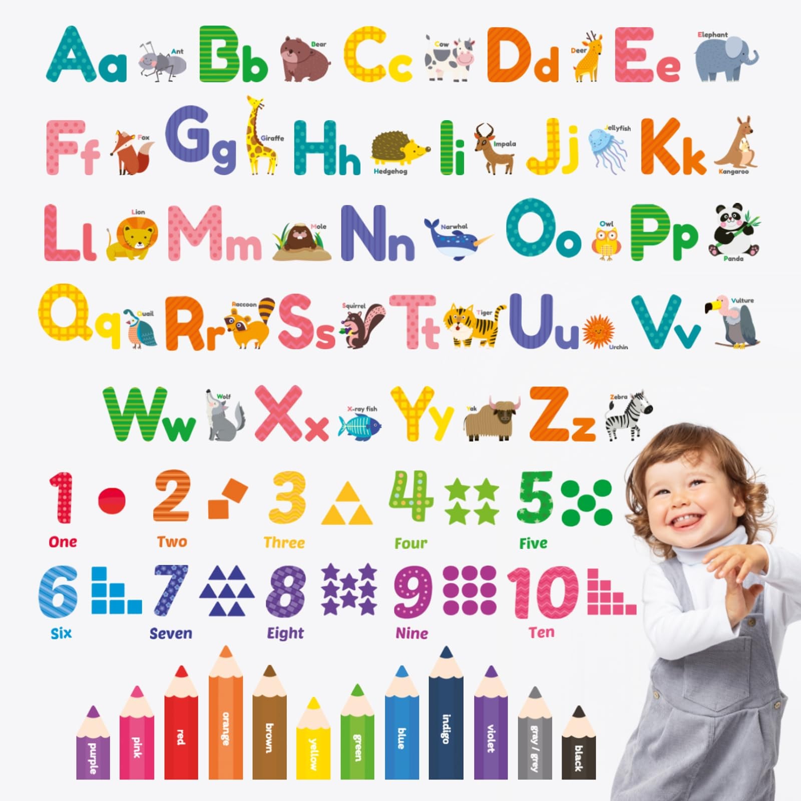 DS8-1614 Colourful Animal Alphabet ABC Wall Stickers Wall Decals Peel and Sti…