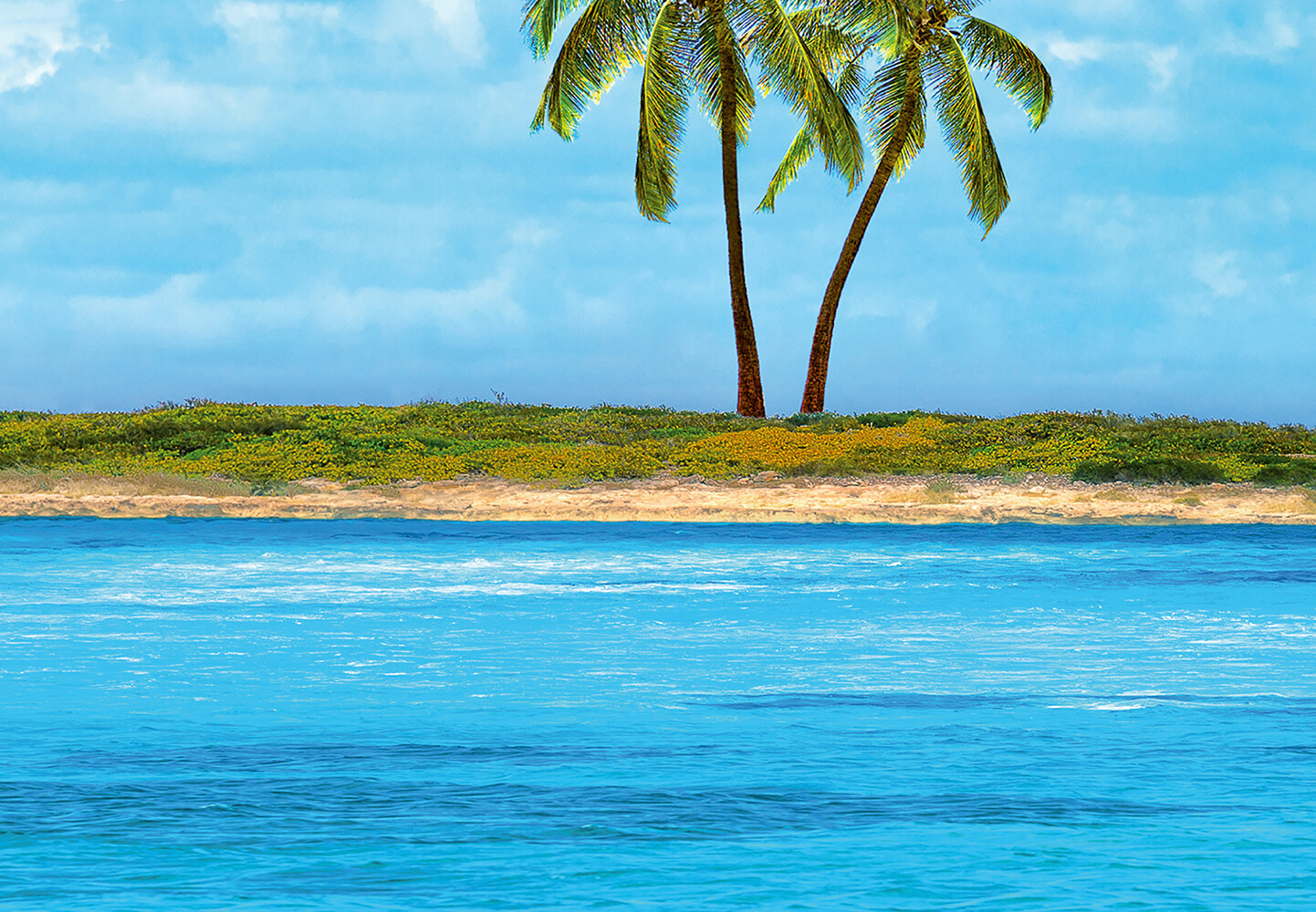 PARADISE ISLAND Wall Mural 144Wx100H Removable Wallpaper Tropical Beach Sea Palm