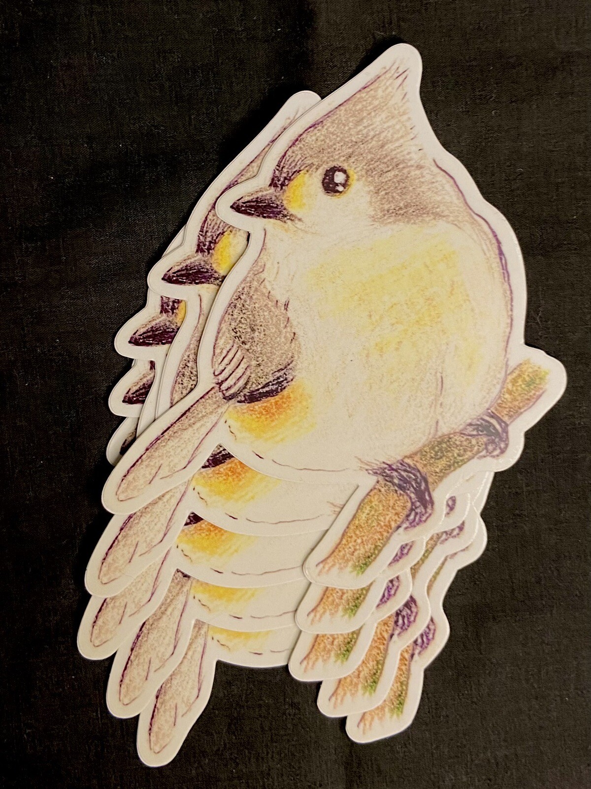Wildlife Art Stickers Your Choice- 1 Vinyl Sticker: Bee, Snail, Ladybug, Bird