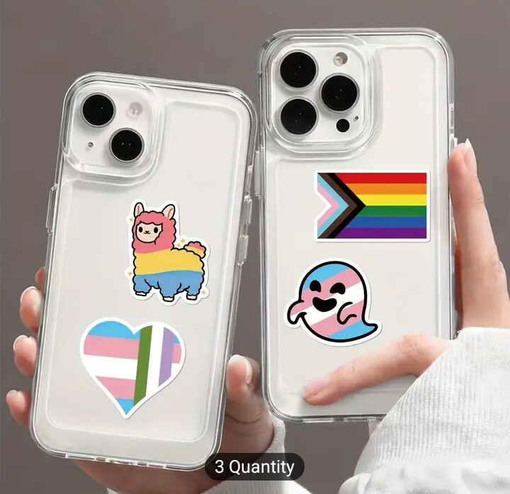 10 PCS Queer LGBTQ+ Gay Lesbian Pan Bi Trans Ace Pride Stickers Mix BRAND NEW