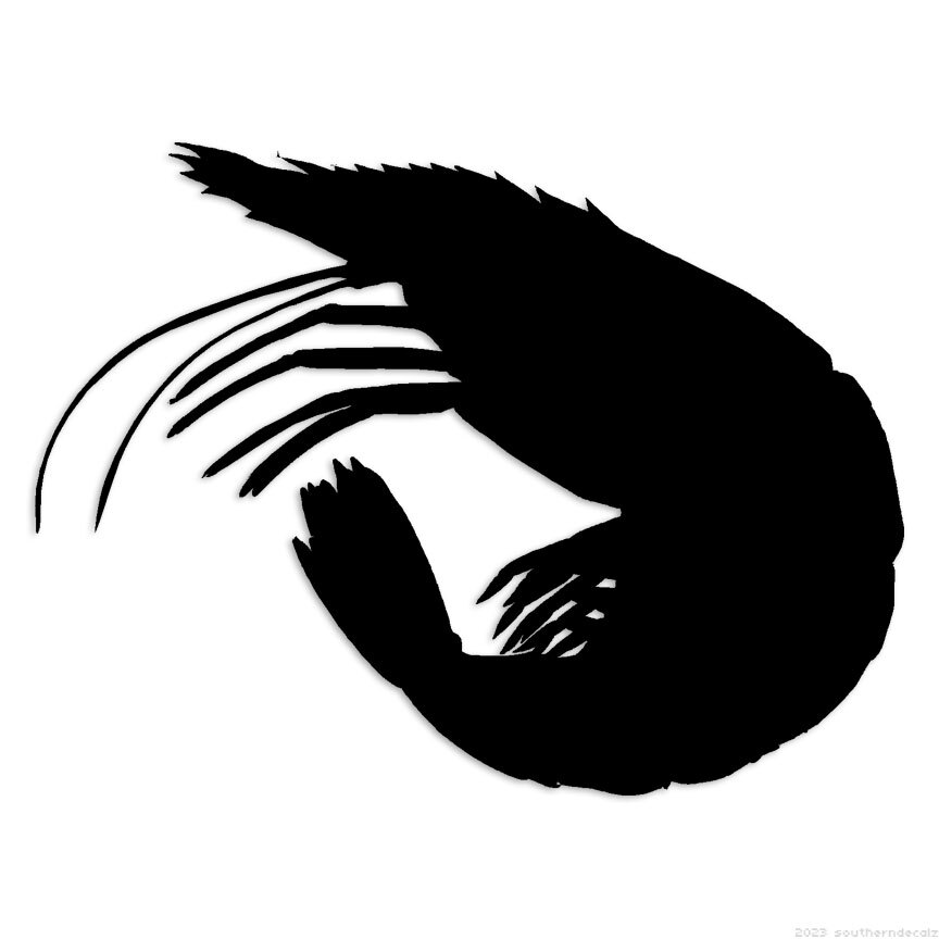 Shrimp – Decal Sticker – Multiple Colors & Sizes – ebn7016