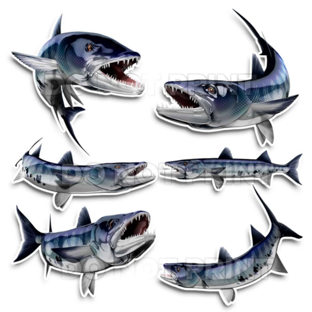 Barracuda Decals Fish Stickers Vinyl Tackle Box Stickers – Set of 2 #130