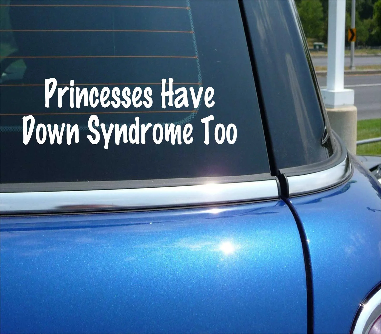 PRINCESSES HAVE DOWN SYNDROME TOO AWARENESS SUPPORT DECAL STICKER CAR TRUCK