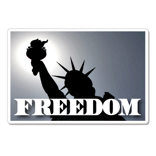 Freedom American Liberty car bumper sticker decal 6″ x 4″