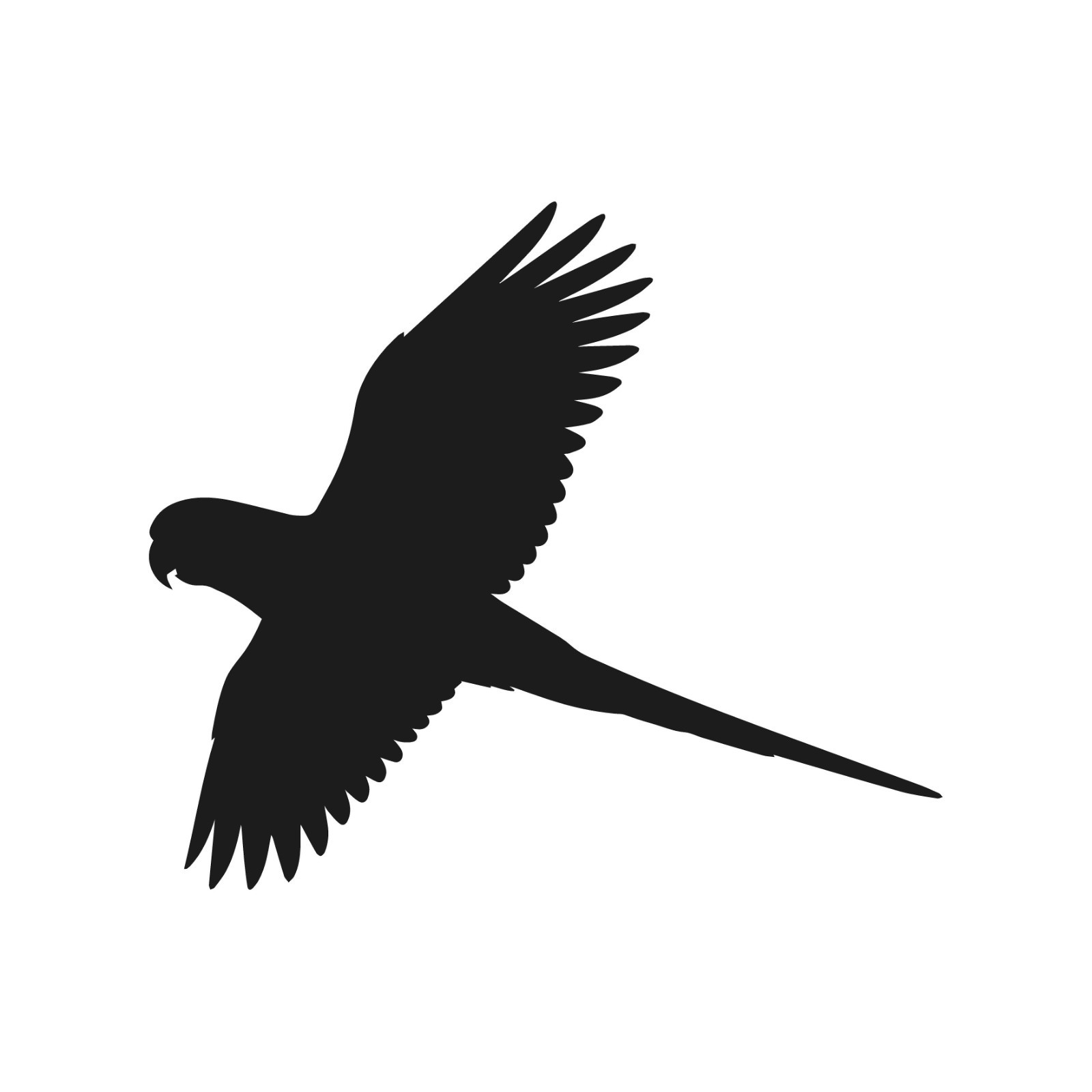 Parakeet Flying Wildlife Bird Vinyl Decal Window Wild birds life sticker