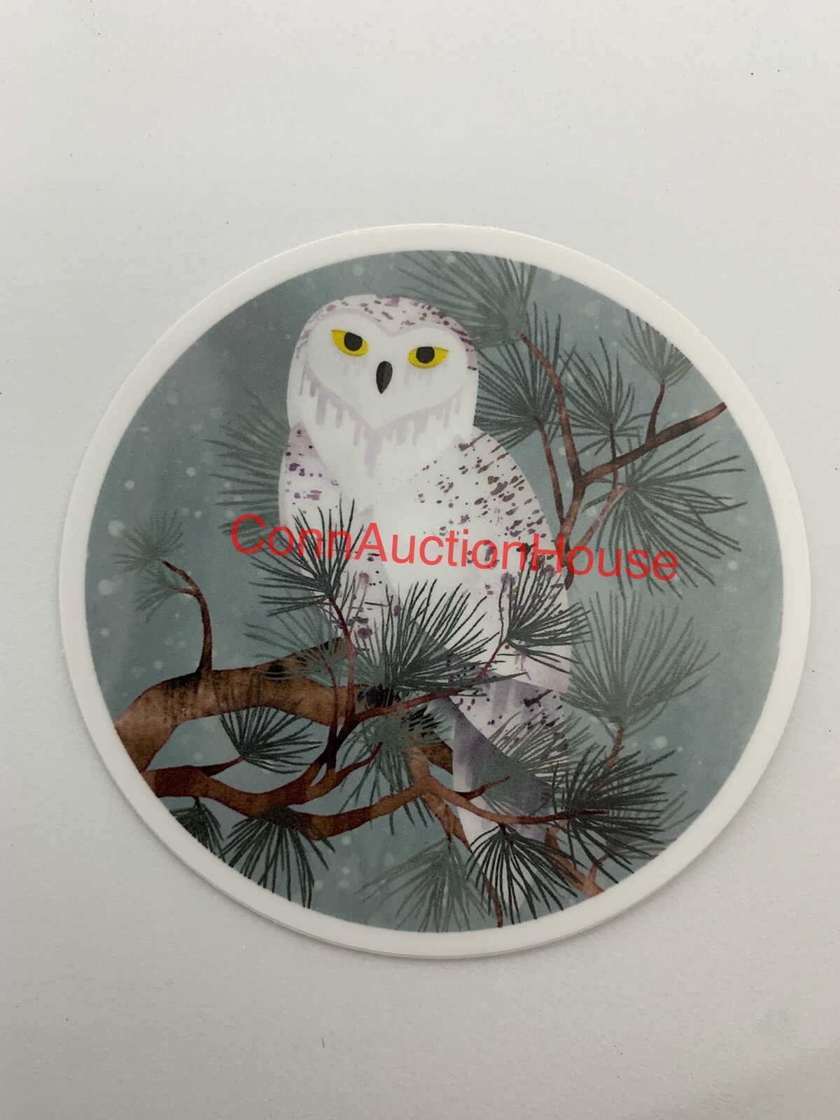 Snowy Owl Bird Sticker ~ Water Bottle ~ Laptop ~ Tumbler ~ Car ~ Vinyl Decal